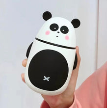 Load image into Gallery viewer, Quirky Panda Bottle | Quirky Character Bottle

