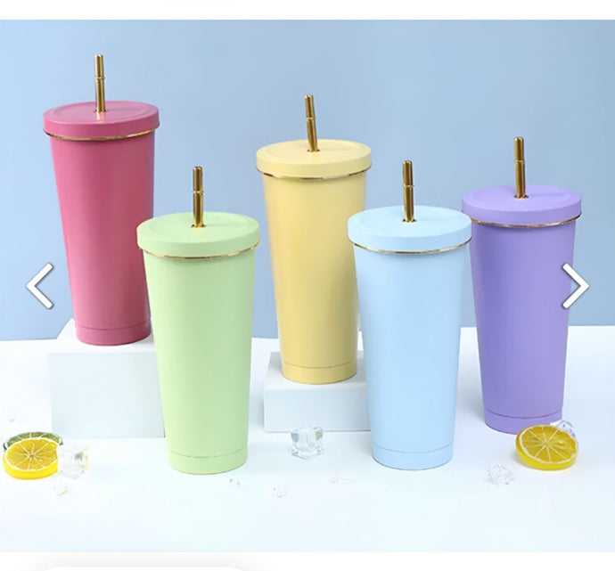 Pastel Steel Sipper | Steel Flask Sipper